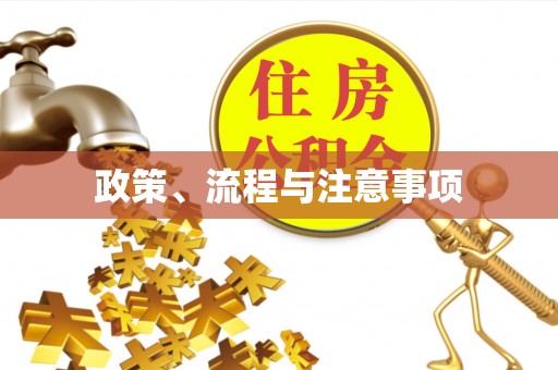 嘉祥政策、流程与注意事项