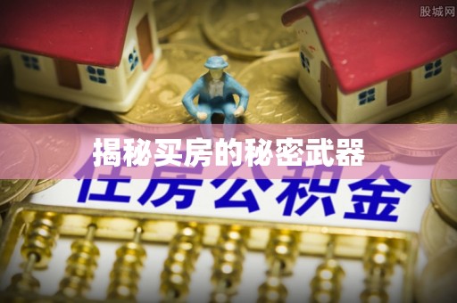 嘉祥揭秘买房的秘密武器
