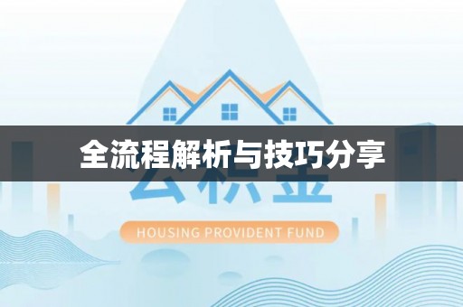 嘉祥全流程解析与技巧分享